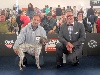  - WORLD DOG SHOW 2012 Salzburg