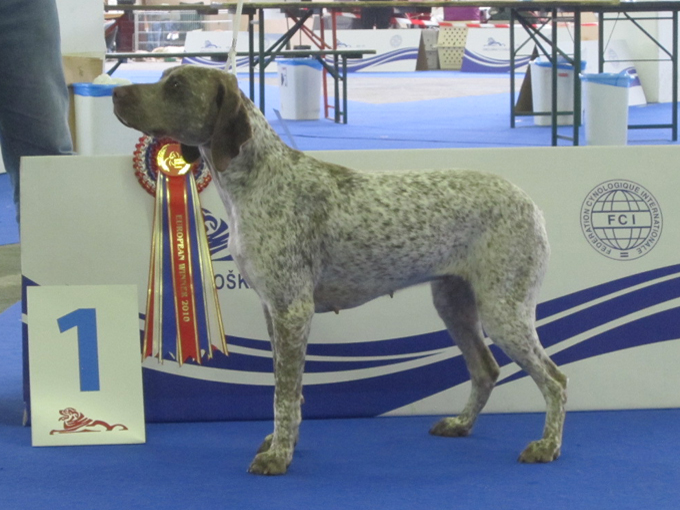 TR. CH. Estree De la benigousse