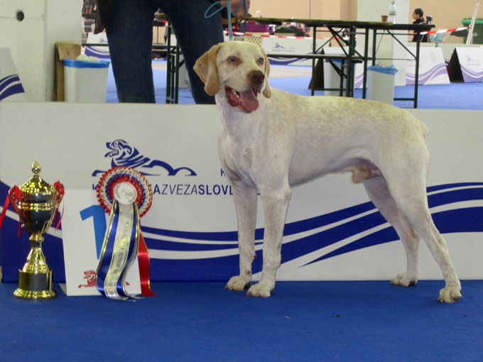 CH. Ethan Des peuts prés