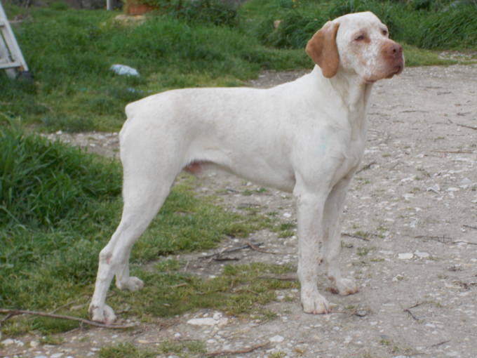 Gordon de la Croix d'Angouleme