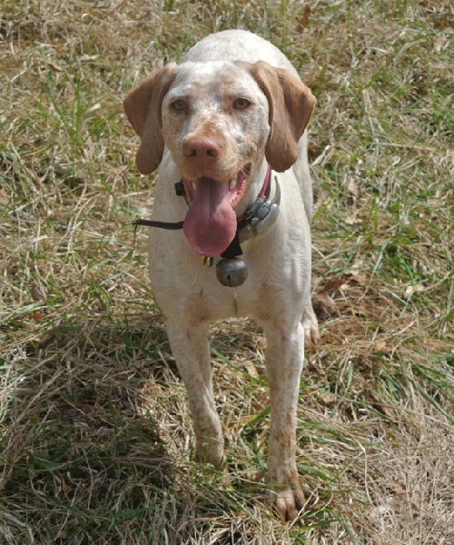 Genié de la Croix d'Angouleme