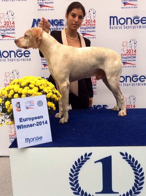 de la Croix d'Angouleme - CHAMPION D'EUROPE 2014