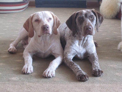 de la Croix d'Angouleme - 81° Expo de Luxembourg
