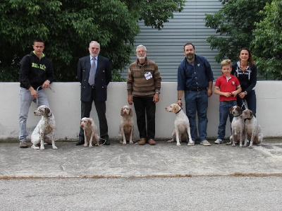 de la Croix d'Angouleme - CHAMPIONNAT DE FRANCE 2013
