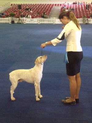 de la Croix d'Angouleme - BUNDESSIEGER 2013 Dortmund
