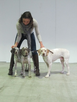 de la Croix d'Angouleme - 83° Expo de Luxembourg