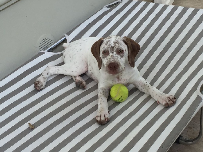 Mutine de la Benigousse