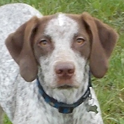 de la Croix d'Angouleme - CHAMPIONNE DE LUXEMBOURG