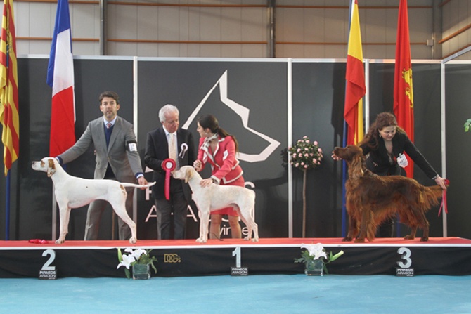 de la Croix d'Angouleme - Expo Internationale de Zaragoza