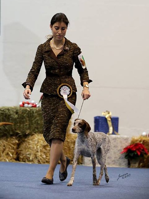 de la Croix d'Angouleme - GITANE CHAMPION