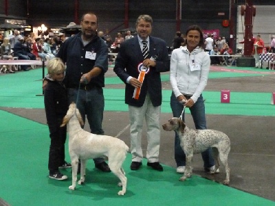 de la Croix d'Angouleme - EURO DOG SHOW 2011 Leewarden