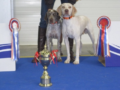 de la Croix d'Angouleme - EURO DOG SHOW 2010 Celje