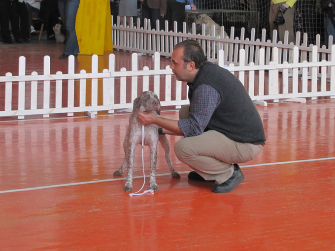 Expo Internationale de Sofia 13.11.2010