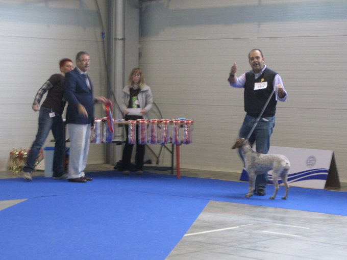 Euro Dog Show 2010 Celje