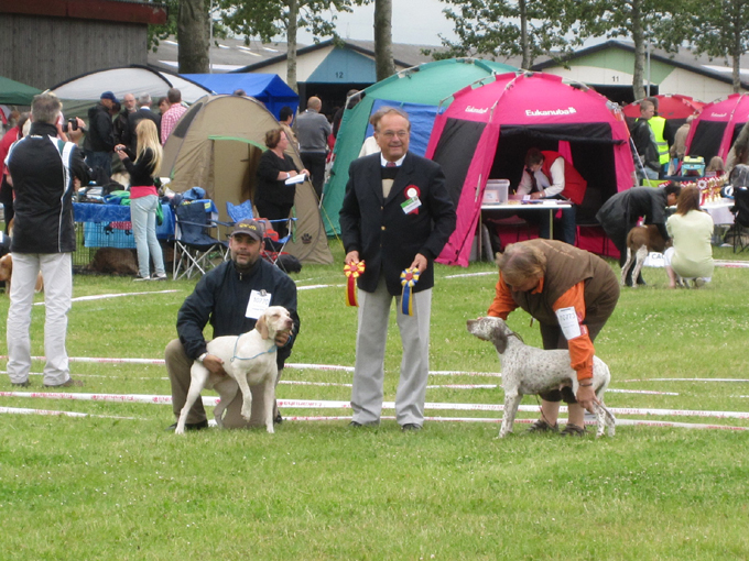 World Dog Show 2010 Herning
