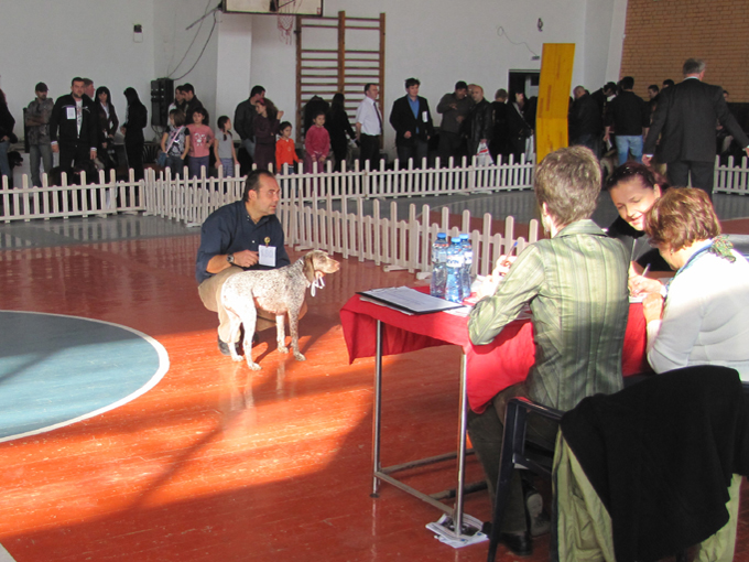 Expo Internationale de Sofia 14.11.2010